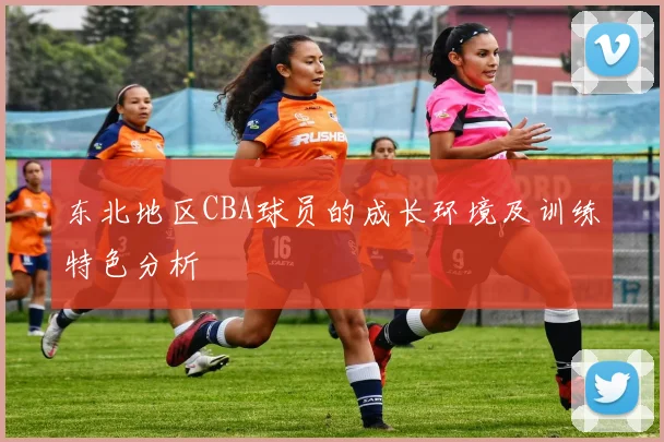东北地区CBA球员的成长环境及训练特色分析