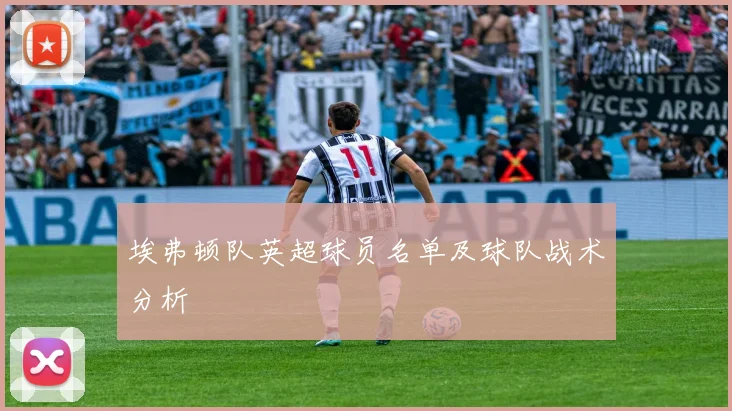 埃弗顿队英超球员名单及球队战术分析