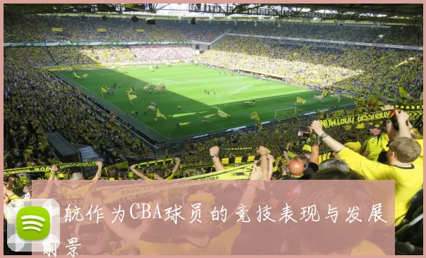 李航作为CBA球员的竞技表现与发展前景