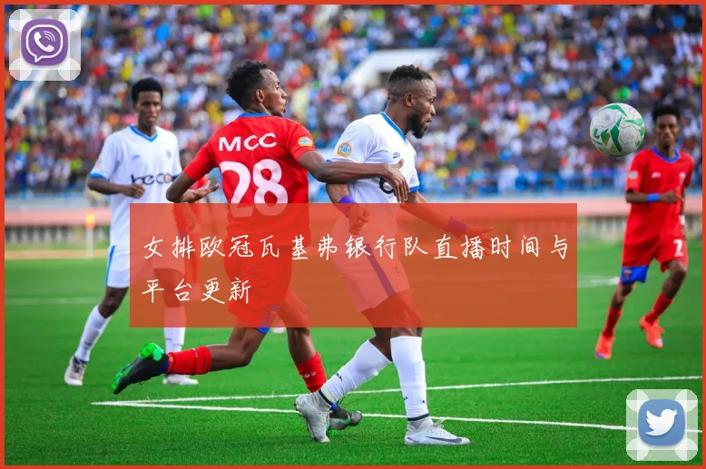 女排欧冠瓦基弗银行队直播时间与平台更新