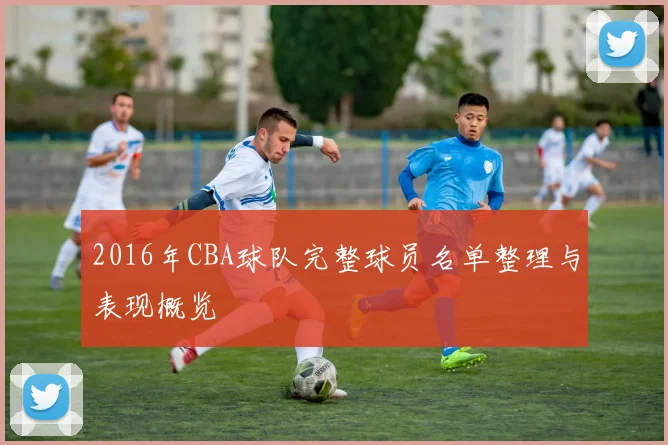 2016年CBA球队完整球员名单整理与表现概览