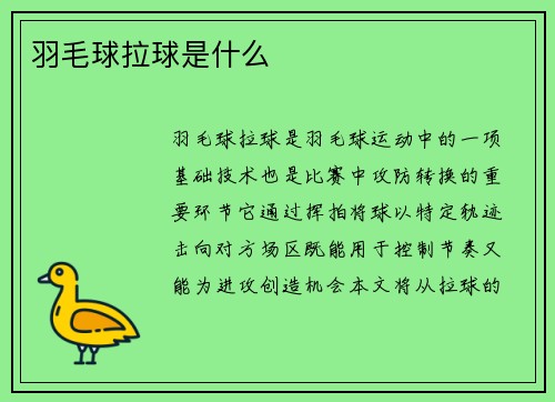 羽毛球拉球是什么